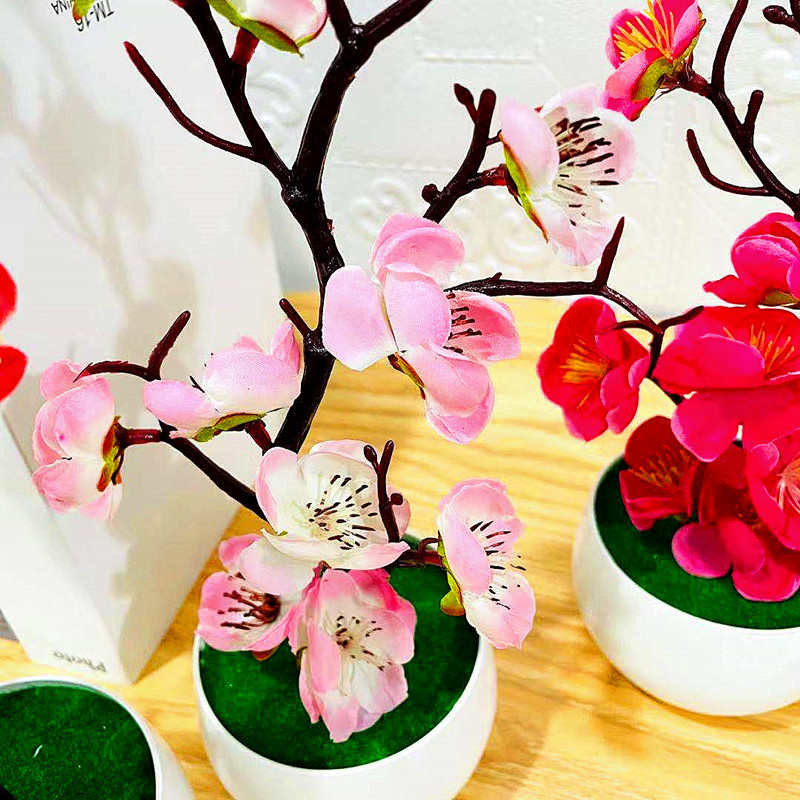 Simulation de Pot de fleur de  - Home Office Background avis et prix